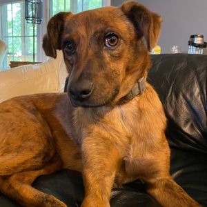 Meet your Posher, Jenni